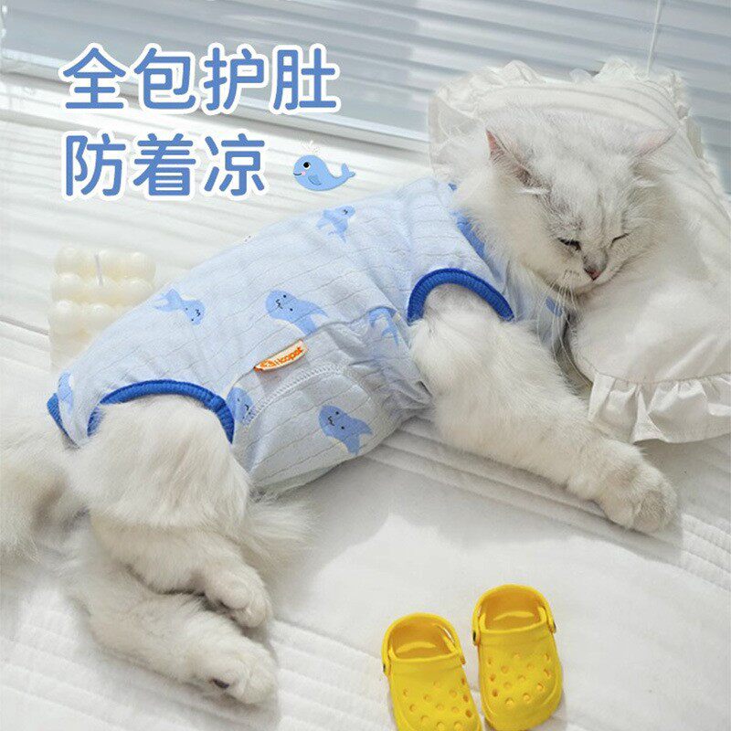 防掉毛猫咪衣服护肚狗狗四脚衣防着凉布偶比熊泰迪雪纳瑞防脏防虫