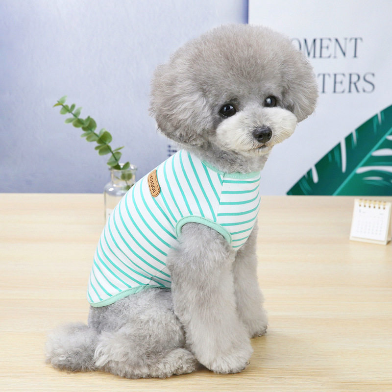 好看小猫衣服小狗衣服防掉毛防脏