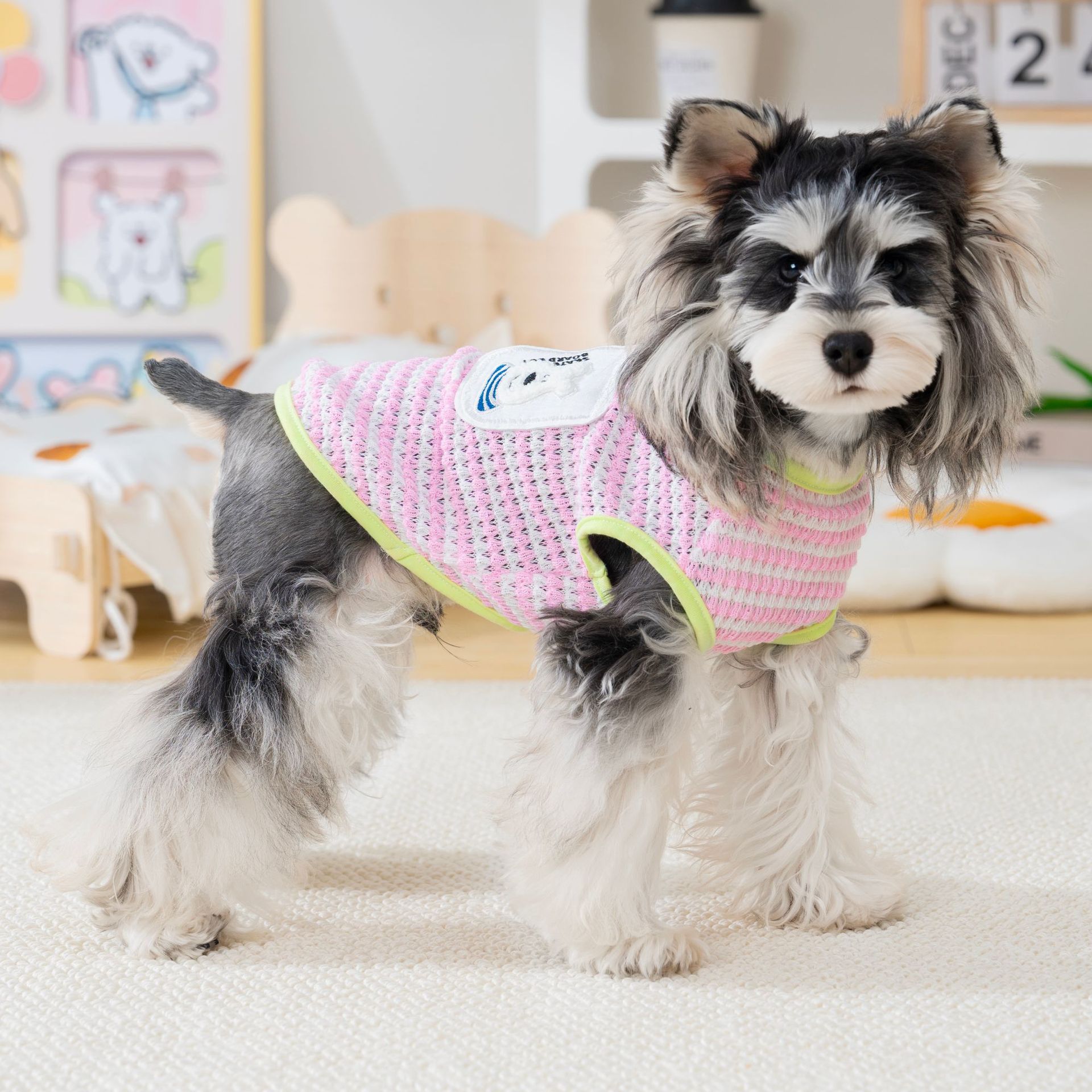 小猫衣服狗衣服防掉毛户外遛狗衣