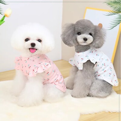 小猫衣服小狗衣服放掉毛可爱凉快