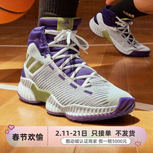 阿迪达斯 Pro Bounce 男子缓震篮球鞋FW5744IG4494IG4495IG4493