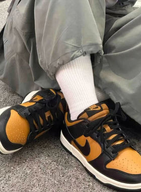 Nike耐克男Dunk Low防滑耐磨低帮板鞋FJ4146-HF5441-700-HV1795