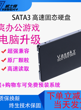 全新SATA固态硬盘2.5寸512GB1TBVaseky/威士奇 V880