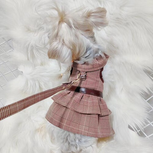 猫狗透气可牵引宠物衣服裙子马甲