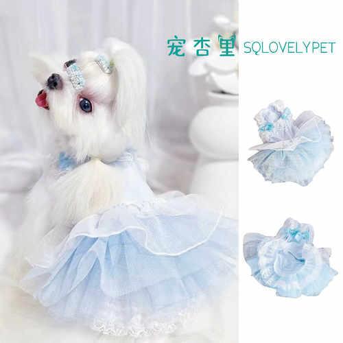 薄款蕾丝狗狗衣服玛尔济斯超小体