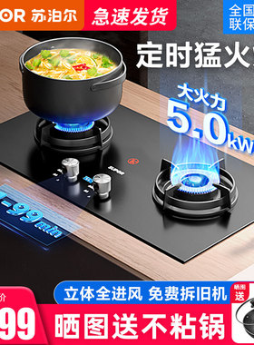 苏泊尔DB2Z1A定时燃气灶煤气猛火双灶5.2kw嵌入台式天然液化气Q8S