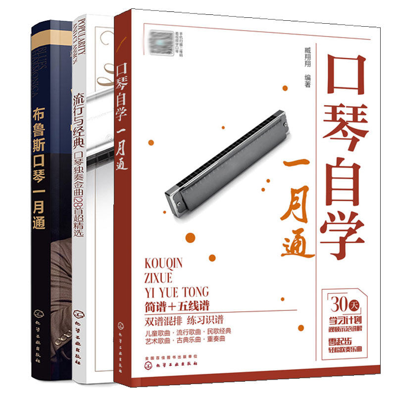 流行与 口琴独奏金曲128选+布鲁斯口琴一月通张晓松+口琴自学一月通 3本化学工业出版社