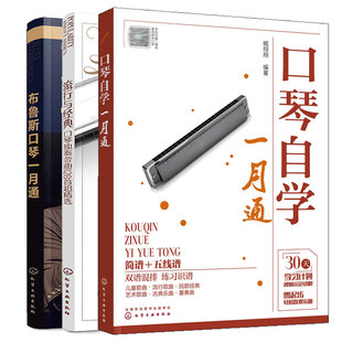 流行与 口琴独奏金曲128选+布鲁斯口琴一月通张晓松+口琴自学一月通 3本化学工业出版社