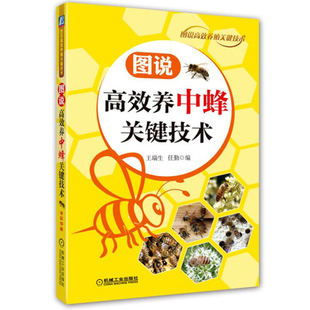 图说养中蜂关键技术 机械社 中蜂人工饲养图书 中蜂养殖技术书 养蜂书 病敌害防治技术 蜜蜂养殖技术书 中蜂科学饲养技术书籍