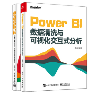 Power BI数据清洗与可视化交互式分析+商业智能数据分析 从零开始学Power BI和Tableau自助式BI 商业数据分析项目实战 SQL数据源书