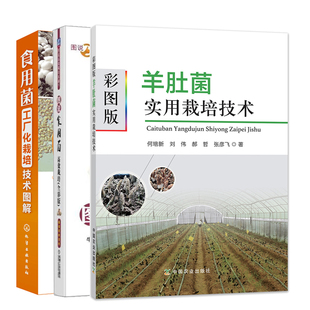 彩图版羊肚菌实用栽培技术+图说食用菌栽培 全彩版+食用菌工厂化栽培技术图解 菌类蔬菜种植技术书 食用菌实用栽培技术书籍