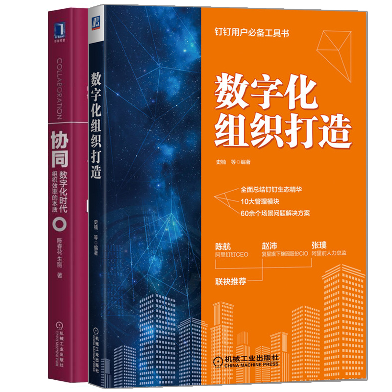 D3 企业数字化转型 2册