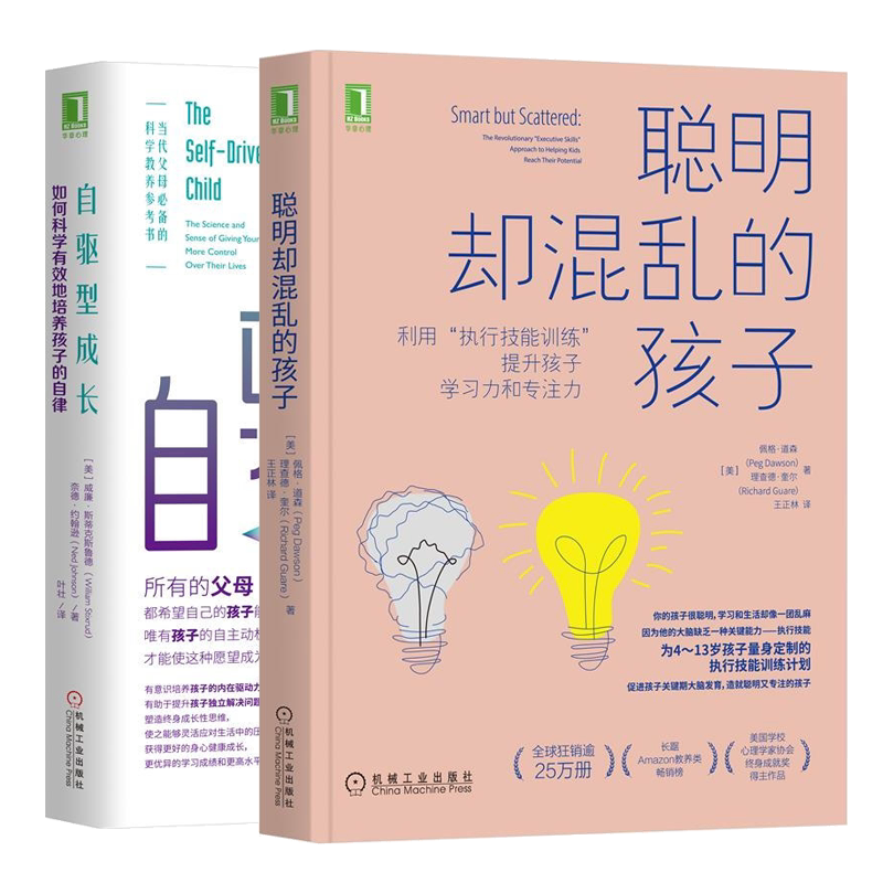 聪明却混乱的孩子 利用执行技能训练提升孩子学习力和专注力+自驱型成长 如何科学地培养孩子的自律  育儿心理书