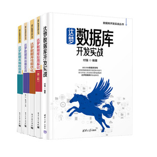 达梦数据库性能化 达梦数据库运维实战 达梦数据库应用基础 达梦数据库开发实战 达梦数据库编程指南书籍