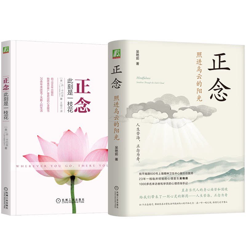 正念 照进乌云的阳光+此刻是一枝花 2本 机械工业出版社