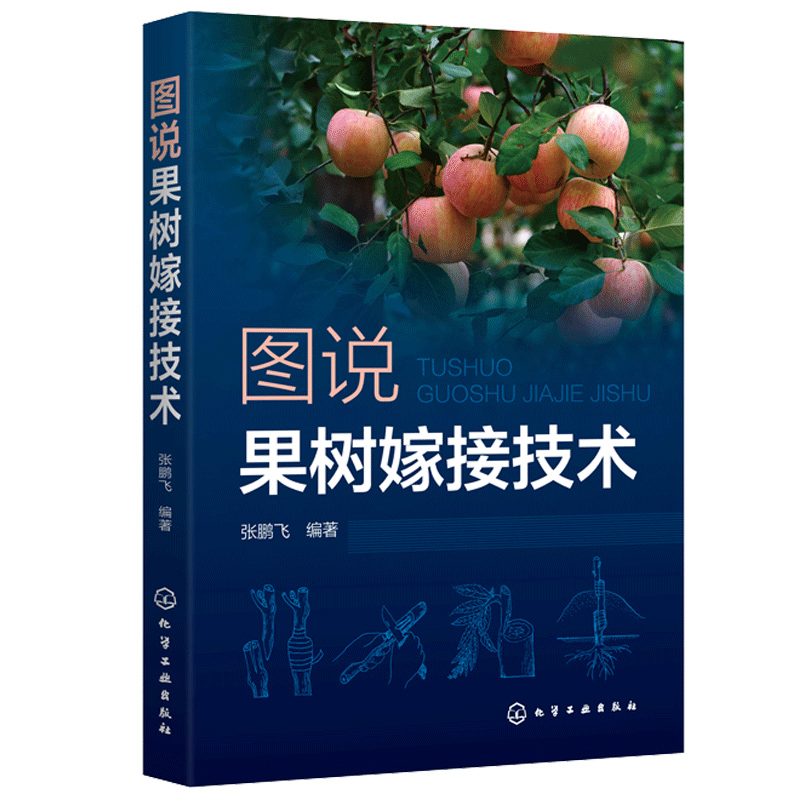 图说果树嫁接技术 苹果梨葡萄核桃枣桃樱桃柿等常见种果树嫁接技术书 果树的砧木接穗嫁接工具果树嫁接方法 果树栽培种植技术书籍