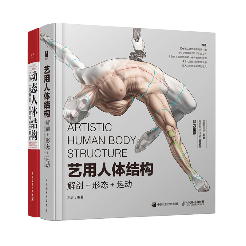 艺用人体结构 解剖形态运动+动态人体结构：艺用人体解剖、姿势与动态解析书籍