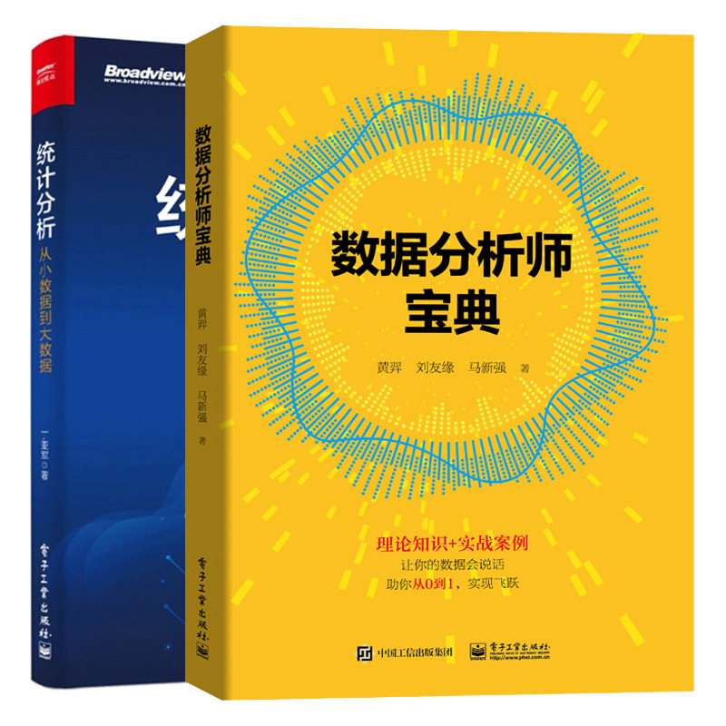 数据分析师宝典+统计分析 从小数据到大数据 2册 数据统计分析处理零基础入门精通教程 如何收集处理分析数据撰写数据分析报告书籍
