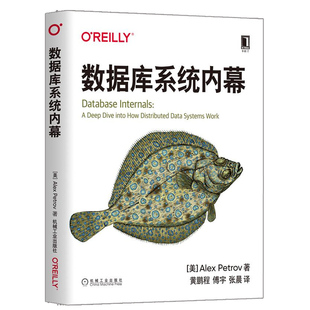 数据库系统内幕 亚历克斯·彼得罗夫计算机数据库存储与管理书籍
