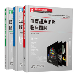 血管声诊断 临床常见病图谱系列腹部声诊断临床图解 浅表器官声诊断 共3本 声科医师和临床医师参考使用书籍