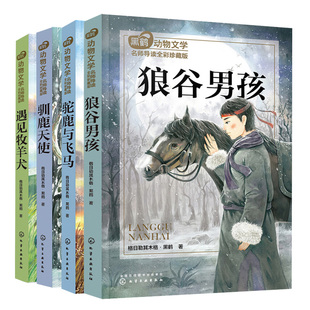 黑鹤动物文学名师导读全彩珍藏版狼谷男孩+驼鹿与飞马+驯鹿天使+遇见牧羊犬 共4本 儿童文学作品集 提高阅读理解和写作表达能力书