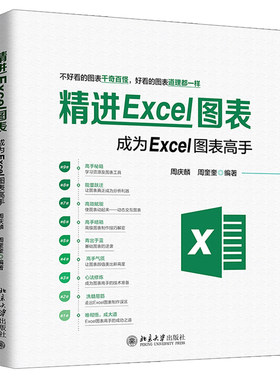 精进Excel图表 成为Excel图表高手 掌握 Excel 图表基础操作后直接学习书 介绍走出 Excel 图表制作误区书office办公自动化软件书
