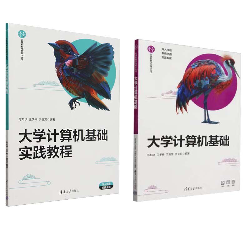 大学计算机基础+实践教程 陈如琪 王学伟 于丽芳 齐亚莉 2本 清华大学出版社