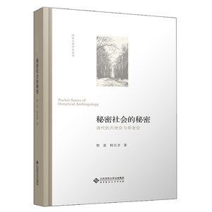 秘密社会的秘密清代的天地会与哥老会科大卫贺喜著历史人类学小丛书北京师范大学出版社9787303276219