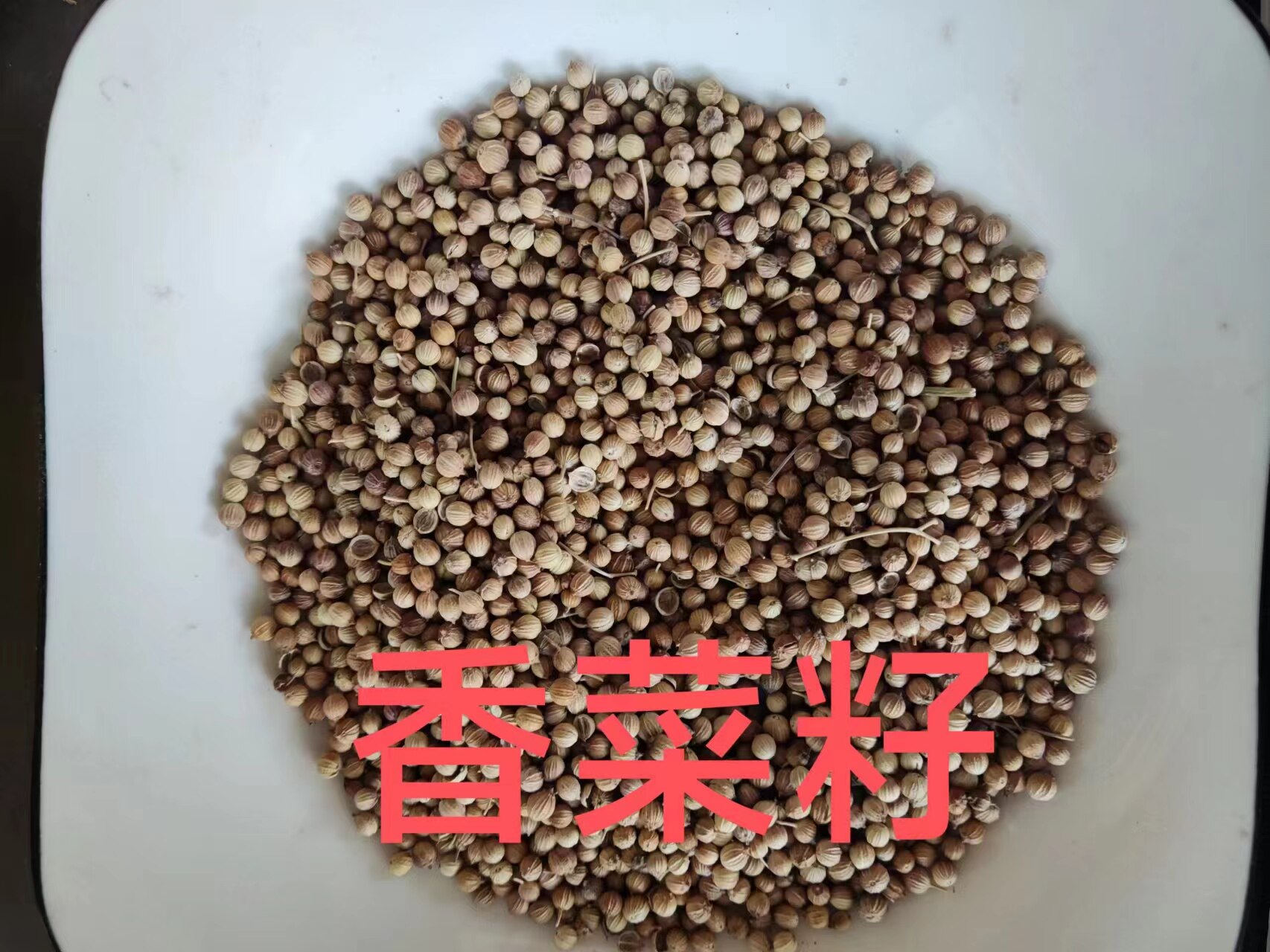 四川香菜籽 芫荽籽胡荽籽香籽粉烧烤火锅煲汤卤肉香料调料大全