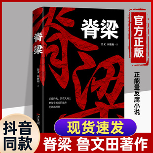 抖音爆款 脊梁小说正版 鲁文田胜利著追问JST共和国 科学 国之脊梁追问丁捷二月河正能量反腐小说畅销书正版 书籍好书中国院士