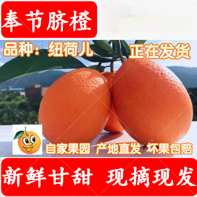 奉节脐橙包邮新鲜当季整箱