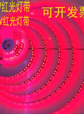 led灯带12V红光 2835高亮户外套管防水120珠24V红色白蓝黄软灯条