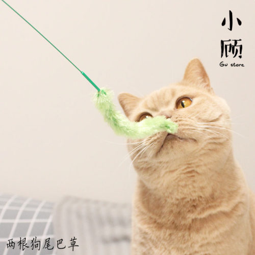 多格漫灵动支装狗尾巴草逗猫棒