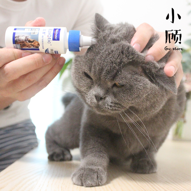 法国维克宠物猫狗