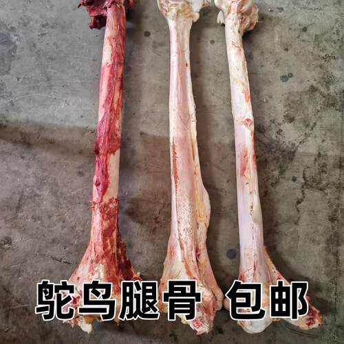 雕刻养殖鸵鸟腿骨古朴原料老料新料骨头腿骨串DIY手工艺乐器配件