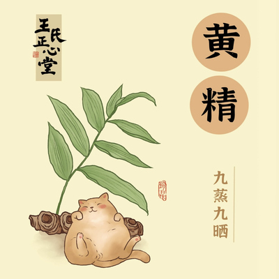 医者正心黄精九蒸九晒