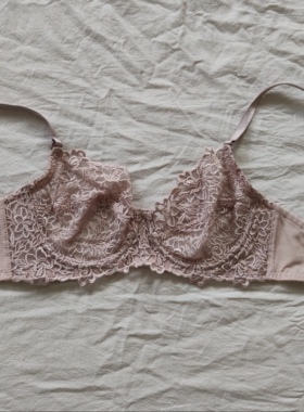 C11-22外单出口欧美薄款蕾丝法式有钢圈单层性感透视文胸内衣bra