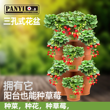潘易立体三孔草莓花盆阳台种菜盆塑料花盆栽花卉绿植盆栽多肉植物