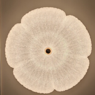 卧室吸顶灯2026新款 轻奢水晶花瓣主卧房间灯全光谱护眼灯具智能灯