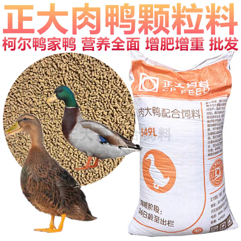 正大鸭饲料家柯尔鸭宠物鸭子颗粒饲料开口料钓鱼打窝鸭饲料包邮