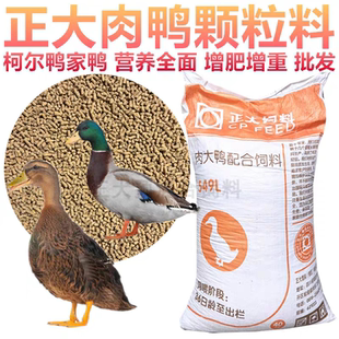 正大鸭饲料家柯尔鸭宠物鸭子颗粒饲料开口料钓鱼打窝鸭饲料包邮