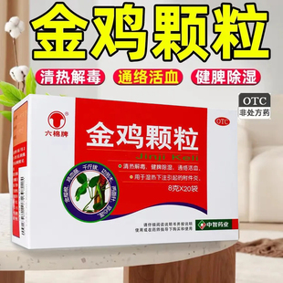 六棉牌金鸡颗粒20袋附件炎药正品旗舰清热解毒通络活血湿热下注LY