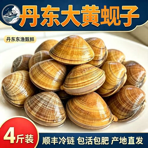 丹东大黄蚬子野生鲜活无沙特大蛤蜊礼盒4斤顺丰包邮坏单包赔