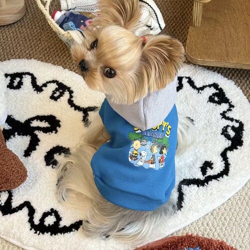 帅气秋冬新款猫咪狗狗宠物衣服马尔济斯雪纳瑞约克夏连帽加绒卫衣