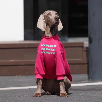 帅气狗狗衣服中大型犬边牧金毛拉布拉多春夏新款薄款家居服防掉毛
