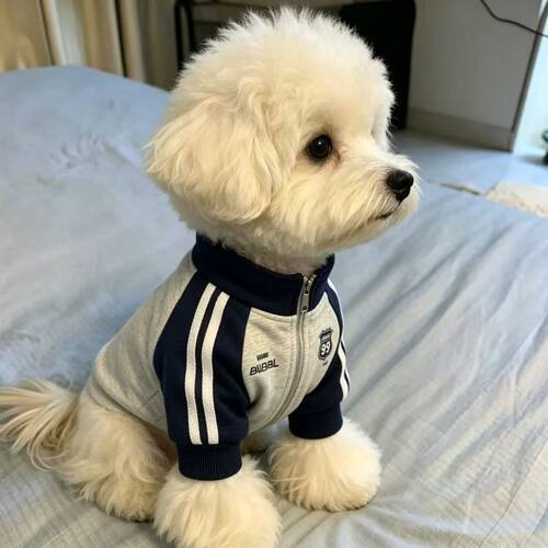 狗狗衣服加绒雪纳瑞泰迪比熊中小型犬衣服新款狗狗衣服超帅秋冬季