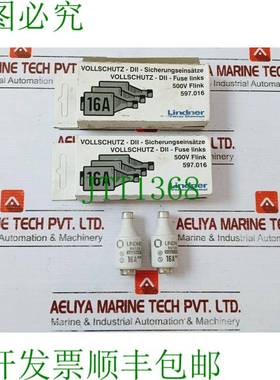 原装供应8 个 Lindner 597.016 保险丝链 16A 500V 全面保护
