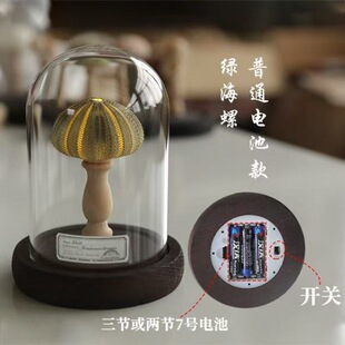 电池款海胆小夜灯海胆海螺灯小夜灯摆件手工diy材料包情人节礼物