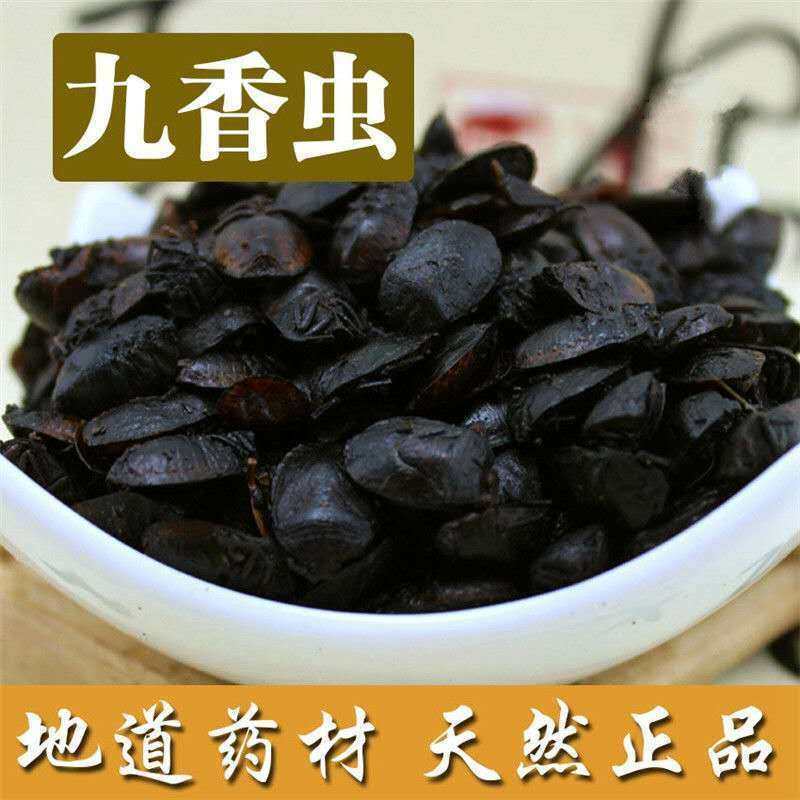 精品九香虫 九香虫 小九香虫干货 打屁虫 500克包邮