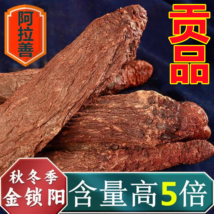 精品甘肃金锁阳个整根可切片打粉泡茶料男性滋补肉苁蓉个切片